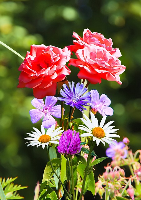 living in a phoenix vertical garden condo