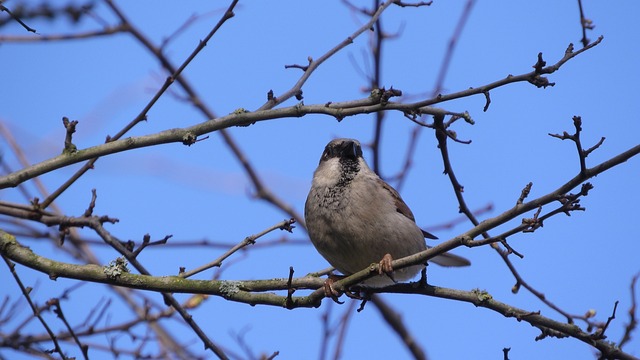 living in a phoenix vertical garden condo