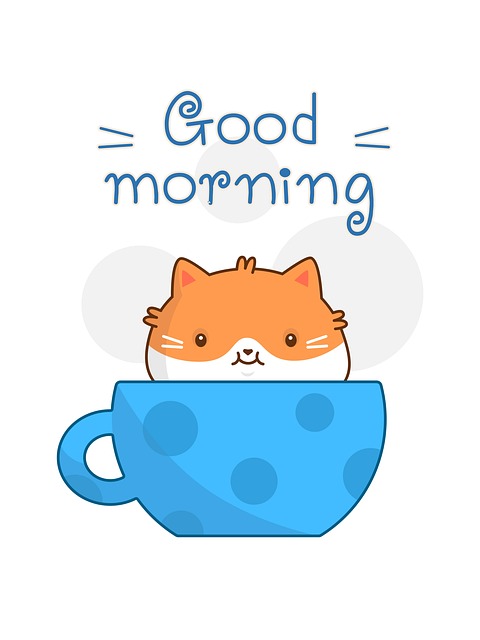 living in a professionally managed rental house phoenix