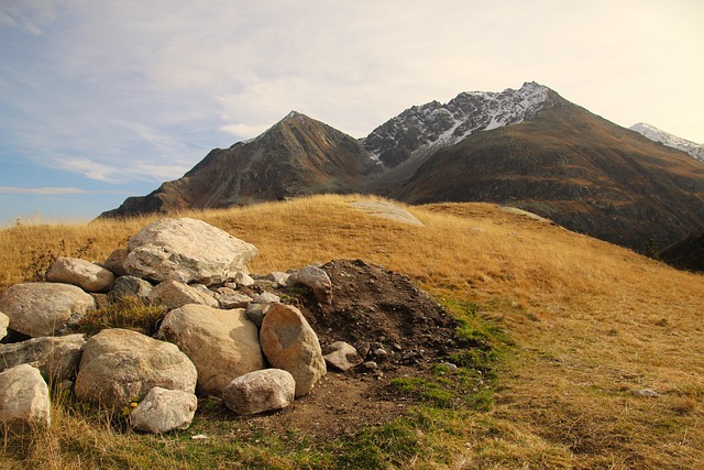 living in blossom rock apache junction reviews