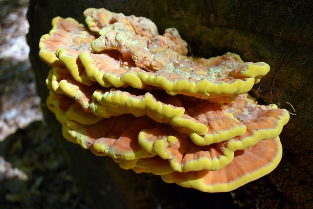 living near mesa gateway aerospace hub