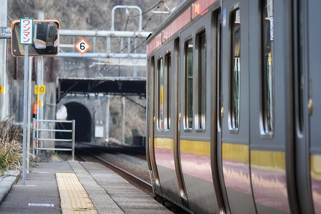 living near phoenix light rail stations