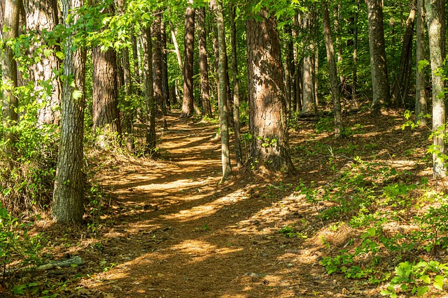 living near phoenix mountain preserve trails