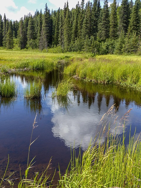 living near phoenix mountain preserve trails