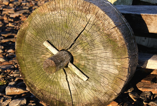 living near skysong scottsdale tech hub