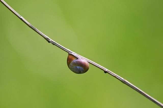 Lock-and-leave living