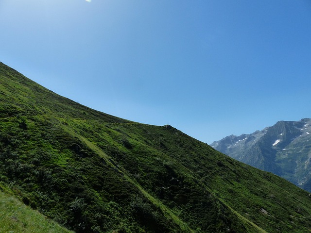 long distance movers