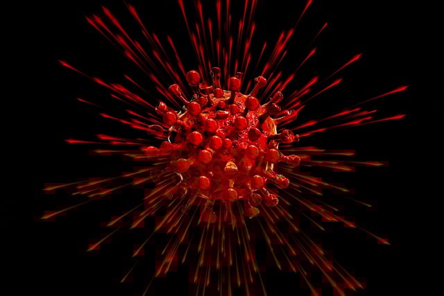 long distance movers