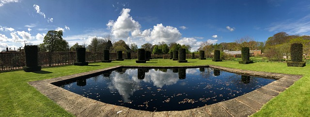 Low-maintenance landscaping