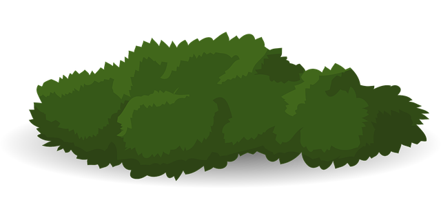 Low-maintenance landscaping