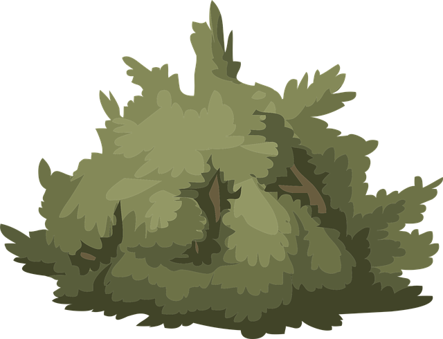 Low-maintenance landscaping