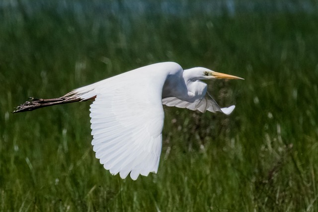 lucid motors employee housing casa grande