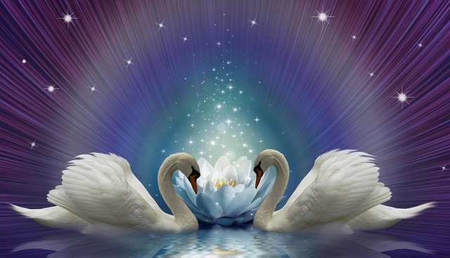 lucid motors employee housing casa grande