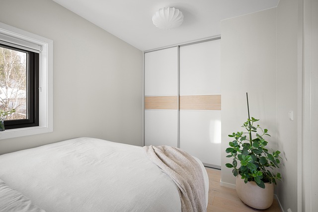 Luxury real estate value