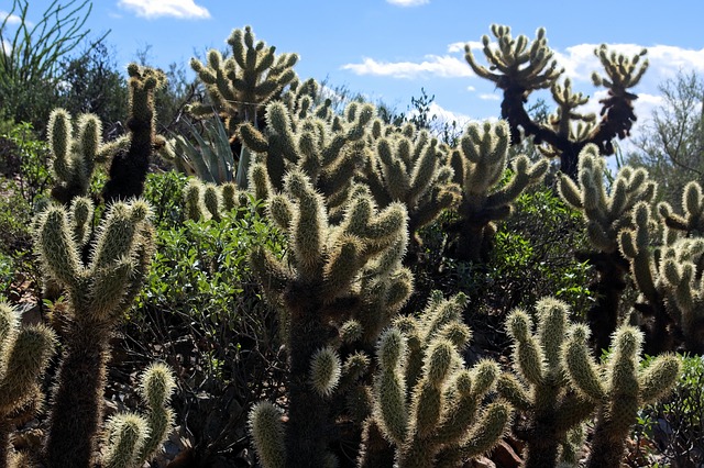 moving to arizona for manufacturing jobs