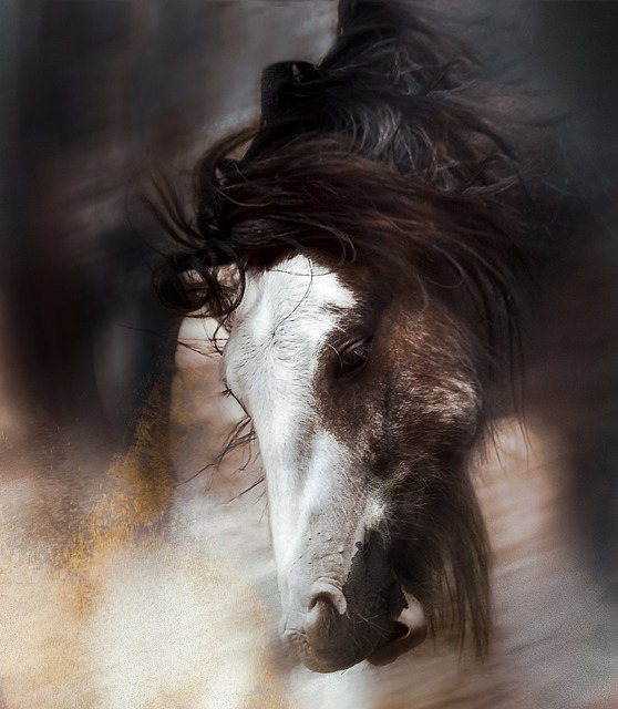 moving to maricopa az for attainable housing