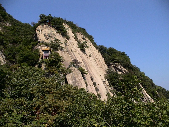 moving to phoenix for bioscience careers