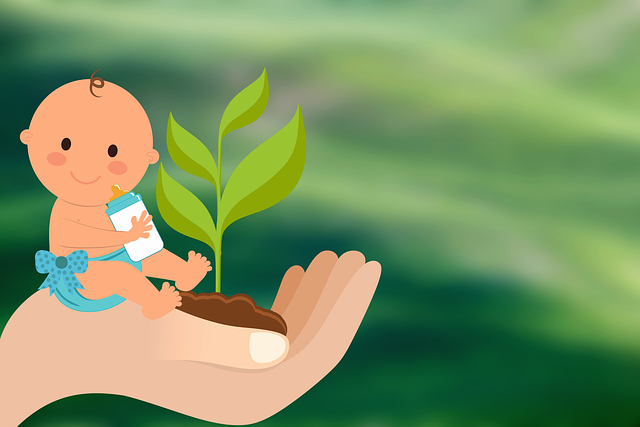 moving to phoenix for car-free life