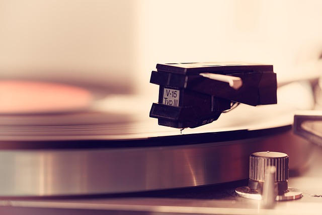 moving to phoenix for redeveloped mall hubs