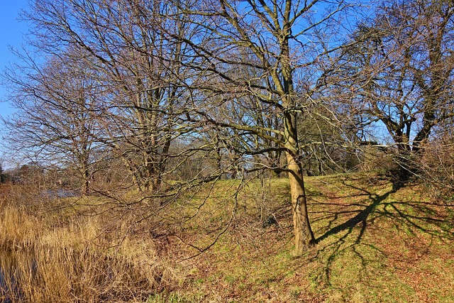 moving to phoenix for winter sunshine