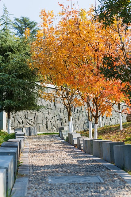 moving to phoenix for winter sunshine