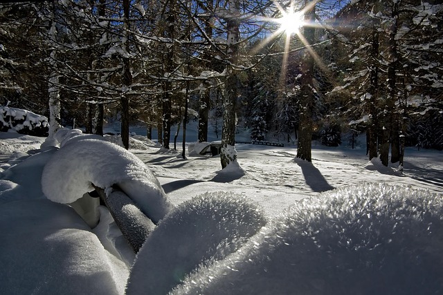 moving to phoenix for winter sunshine