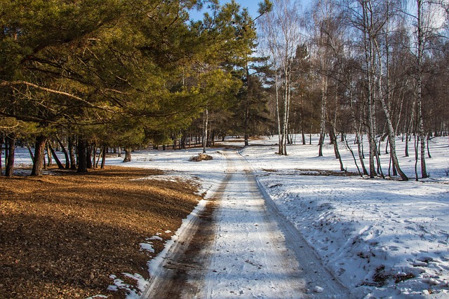 moving to phoenix for winter sunshine