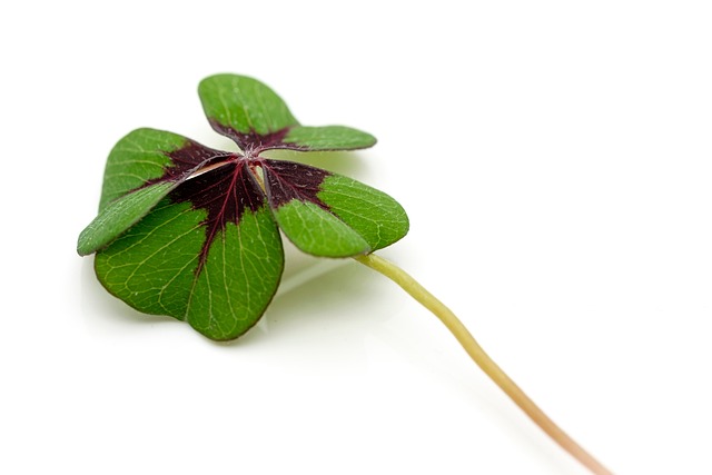 moving to superstition vistas for value