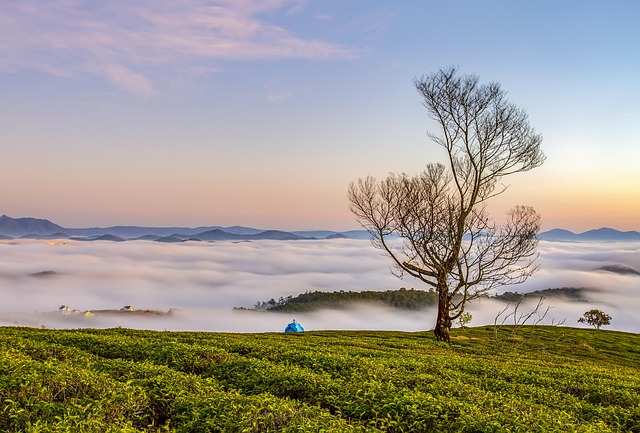 moving to superstition vistas for value