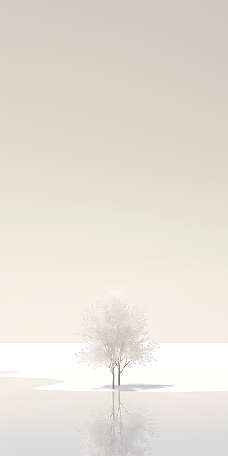 Negative Amortization