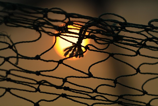 net operating income