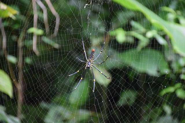 net operating income