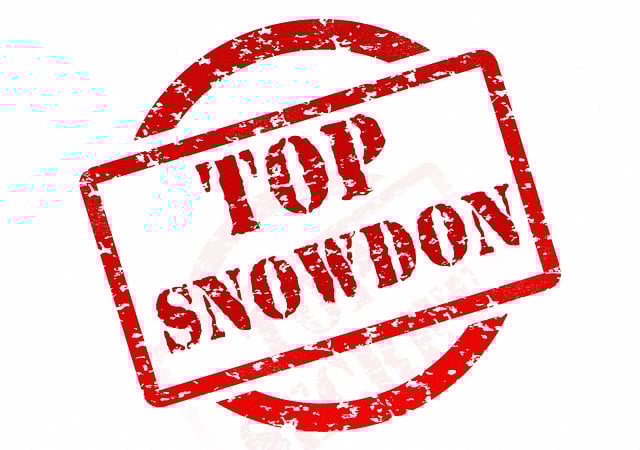 Unveiling Global Real Estate Disclosures: Trends to 2030