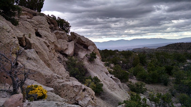 Mastering Promo Timings: Blossom Rock vs Eastmark Mesa Strategies