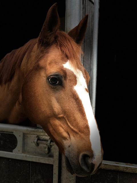 off market luxury listings paradise valley 2026