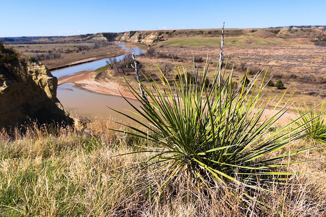 Outdoor-centric floor plans