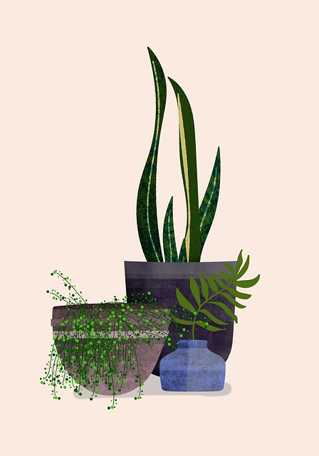 phoenix BTR vs traditional multifamily living