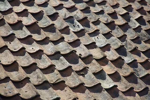 phoenix cool roof building code requirements 2026