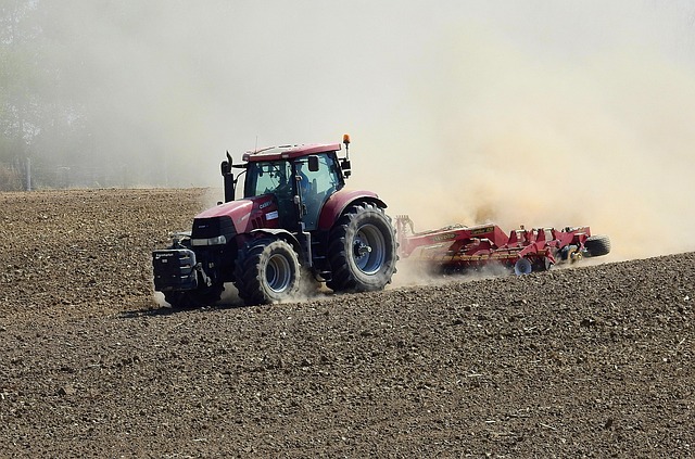 phoenix drought tolerant backyard design 2026