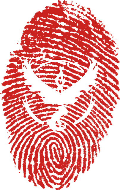 phoenix drought tolerant backyard design 2026