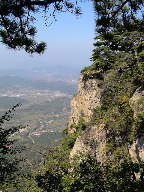 Unveiling Phoenix Real Estate: Explore, Find, Buy