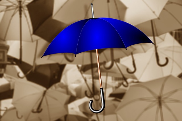 phoenix lot split for accessory housing