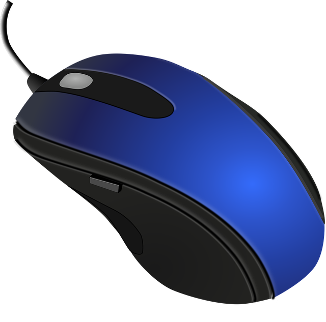 phoenix lot split for accessory housing