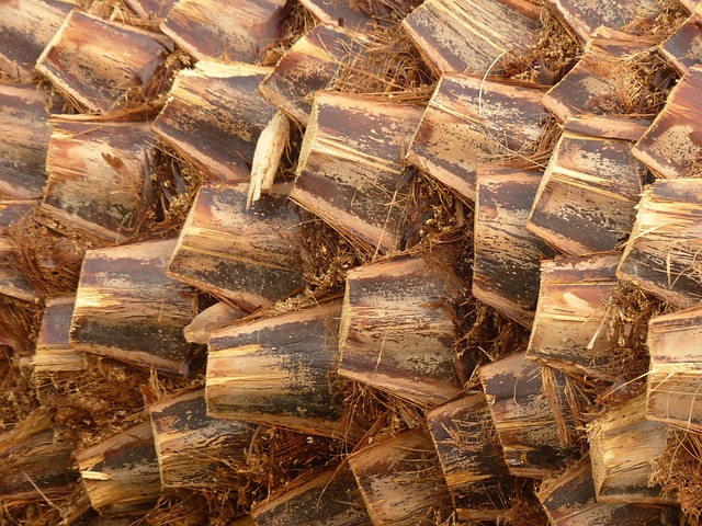 phoenix triplex and fourplex zoning updates