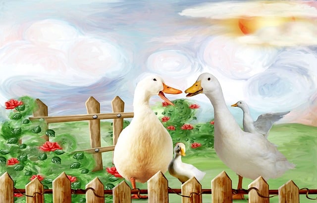 Pickleball court access