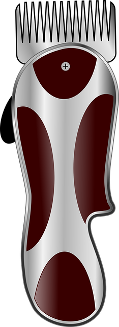 Pickleball court access