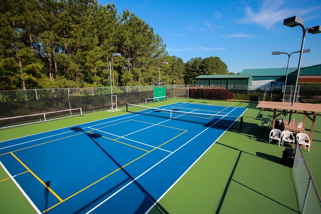 Pickleball court access