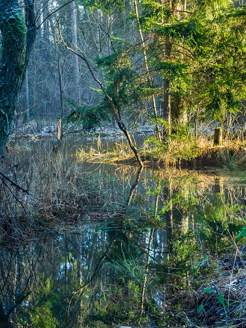 Pool-ready homesites