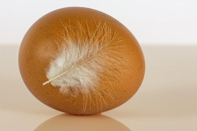 Price per square foot