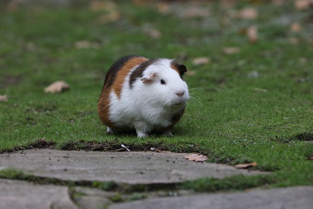 Master Real Estate Investing: Fundamentals to Portfolio Growth